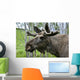 Moose Wall Mural