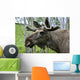 Moose Wall Mural