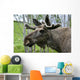 Moose Wall Mural