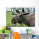 Moose Wall Mural