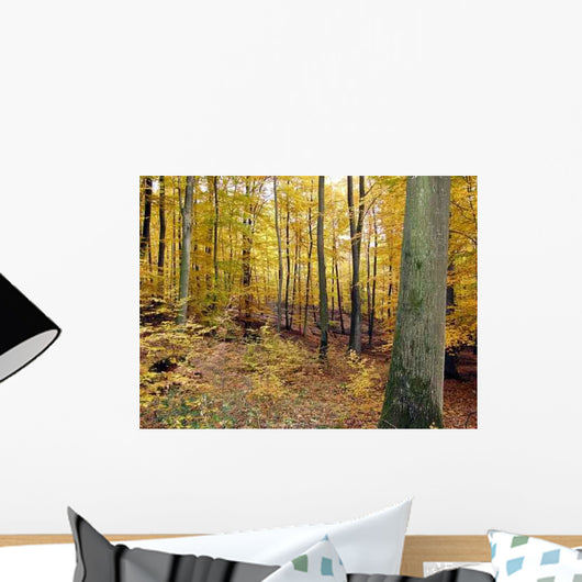 Herbstwald Wall Decal