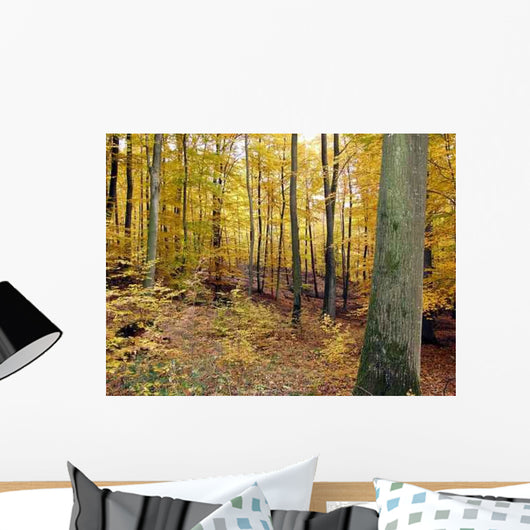 Herbstwald Wall Decal