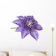 Blue Clematis