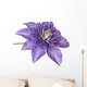 Blue Clematis