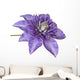 Blue Clematis
