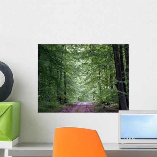 Waldweg Wall Decal