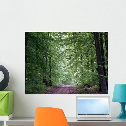 Waldweg Wall Decal