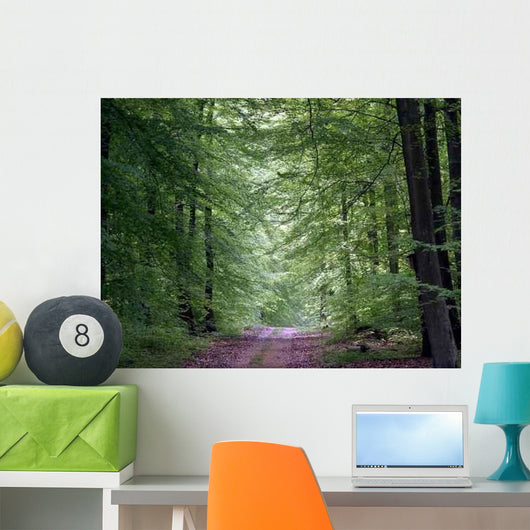 Waldweg Wall Decal