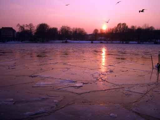 Ice Rink Sunset Wall Decal