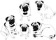 Dogs Wall Mural