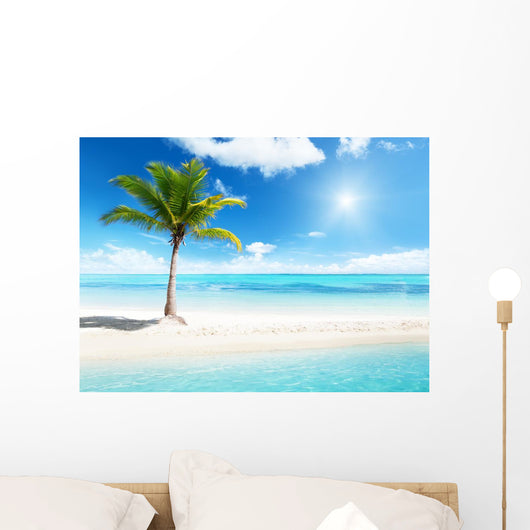 palm on island Wall Mural