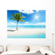 palm on island Wall Mural