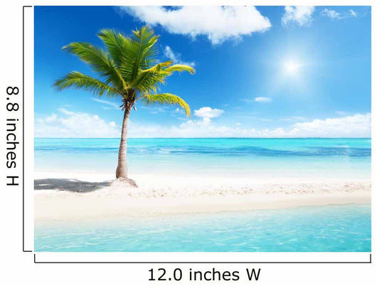 palm on island Wall Mural