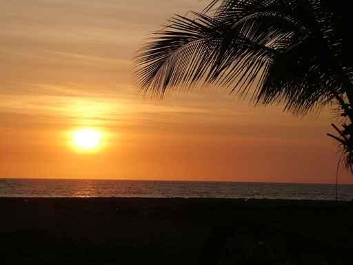 Sun Set Pacifico Wall Decal
