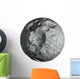 Deep Space Meteorite Wall Decal