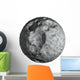 Deep Space Meteorite Wall Decal