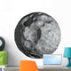 Deep Space Meteorite Wall Decal