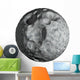 Deep Space Meteorite Wall Decal
