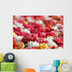 Sea Flowers Wall Mural