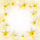 Frangipani Flowers White Background Wall Mural