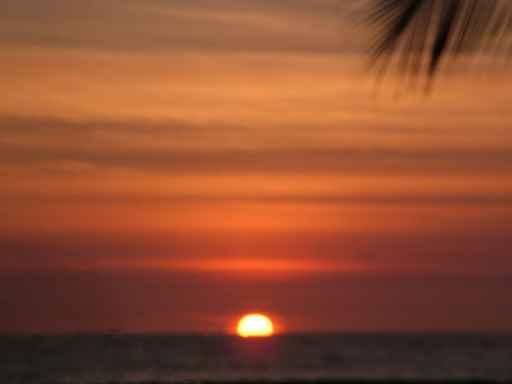 Sun Set Mexico Wall Decal