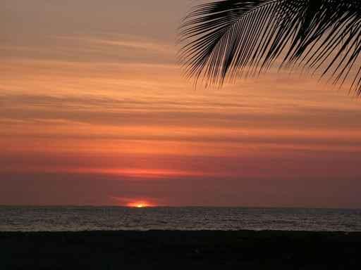 Sun Set Wall Decal