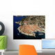 Panorama Dubrovnik Croatia Wall Decal