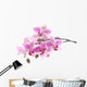 Purple Orchid Wall Decal