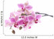 Purple Orchid Wall Decal
