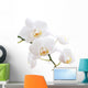 White Orchid Wall Decal Design 1