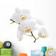 White Orchid Wall Decal Design 1