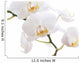 White Orchid Wall Decal Design 1