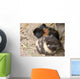 Pet Murals Guinea Pigs Wall Decal
