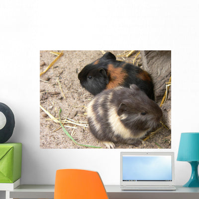 Pet Murals Guinea Pigs Wall Decal shown on a wall