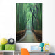 Path Bamboo Forest Wall Decal
