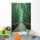 Path Bamboo Forest Wall Decal