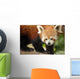 Endangered Red Panda Wall Decal Design 1
