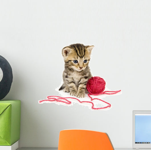 Kitten with Red Ball Wall Decal