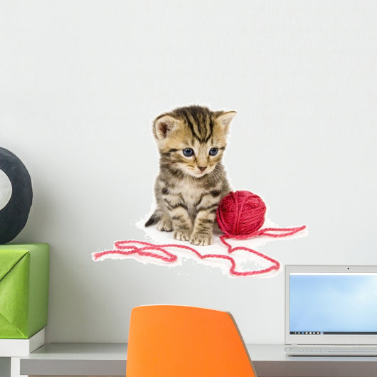 Kitten with Red Ball Wall Decal