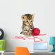 Kitten with Red Ball Wall Decal