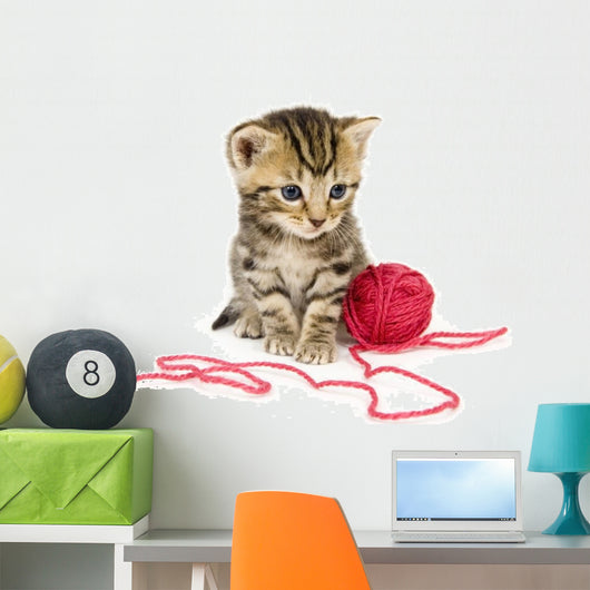 Kitten with Red Ball Wall Decal