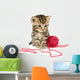 Kitten with Red Ball Wall Decal