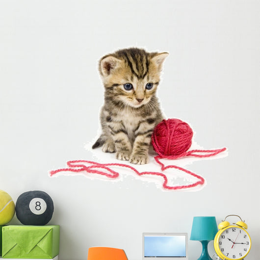 Kitten with Red Ball Wall Decal