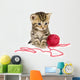 Kitten with Red Ball Wall Decal