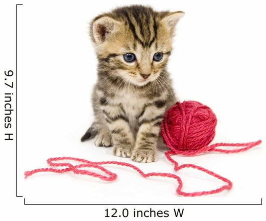 Kitten with Red Ball Wall Decal