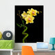 Blooming Yellow Orchid and Wall Decal
