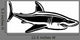 Shark Attack Wall Decal