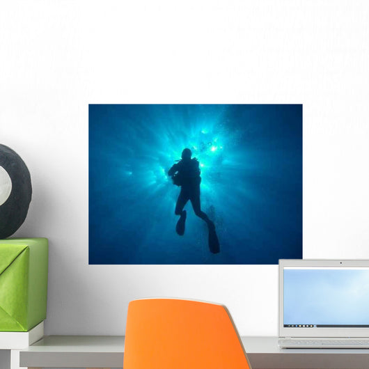 Sun Diver Wall Decal
