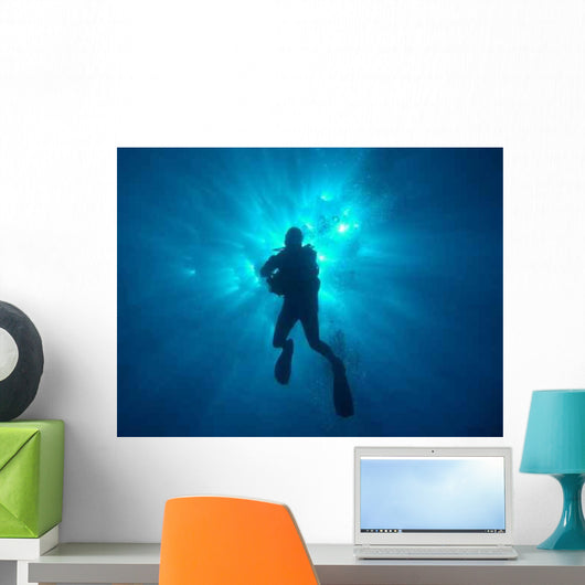 Sun Diver Wall Decal