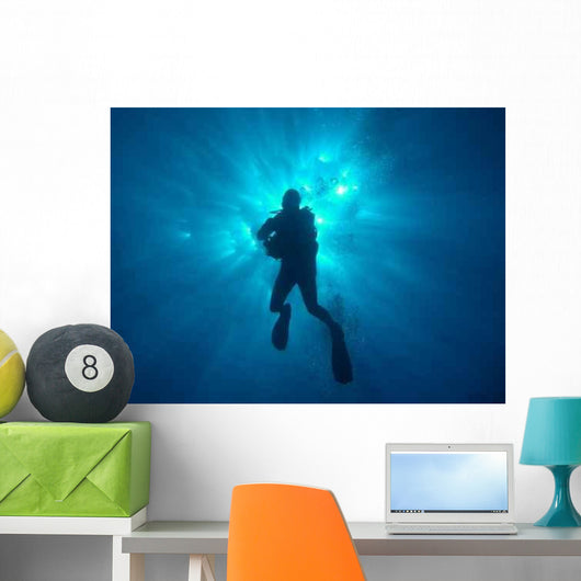 Sun Diver Wall Decal